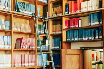 Holzregale mit zahlreichen farblich sortierten Büchern und einer Leiter in einer Bibliothek.